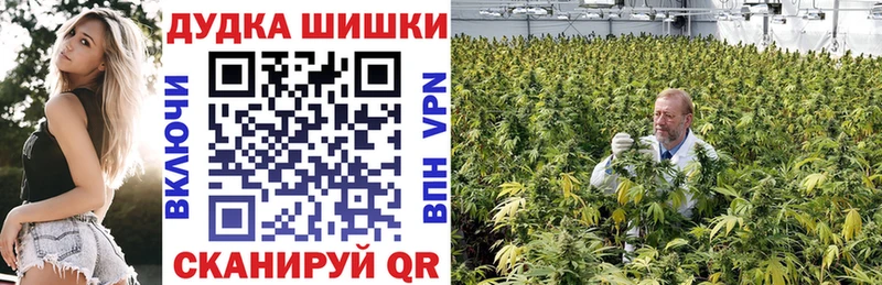 Марихуана гибрид  Лебедянь 